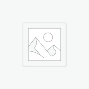 PTZ Camera